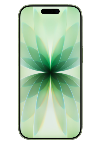 Apple iPhone 17 5G 256 GB Salbei